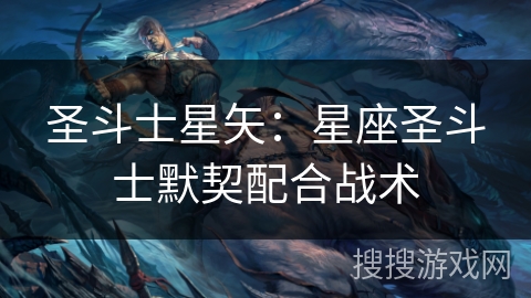 圣斗士星矢:星座圣斗士默契配合战术 圣斗士星矢:星座圣斗士默契配合战术
