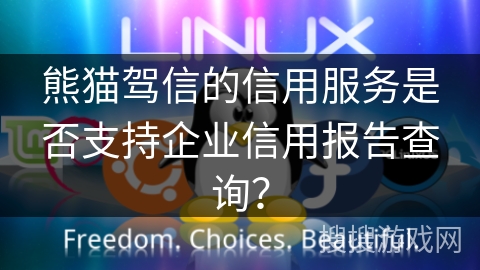 熊猫驾信的信用服务是否支持企业信用报告查询？