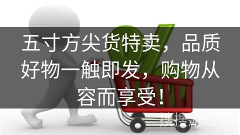 五寸方尖货特卖，品质好物一触即发，购物从容而享受！
