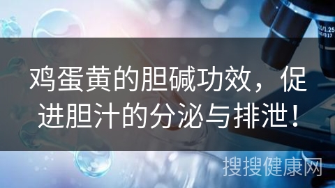 鸡蛋黄的胆碱功效，促进胆汁的分泌与排泄！