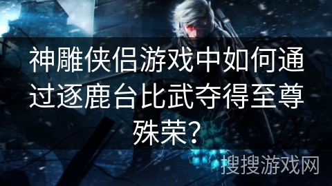 神雕侠侣游戏中如何通过逐鹿台比武夺得至尊殊荣？