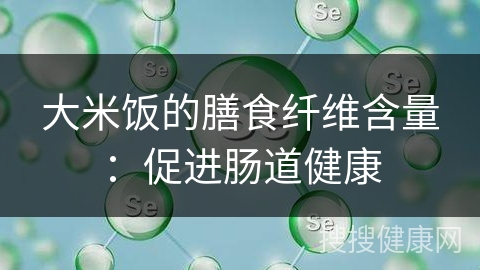 大米饭的膳食纤维含量：促进肠道健康