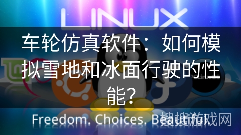 车轮仿真软件：如何模拟雪地和冰面行驶的性能？
