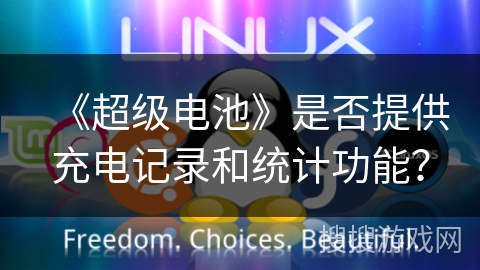 《超级电池》是否提供充电记录和统计功能？