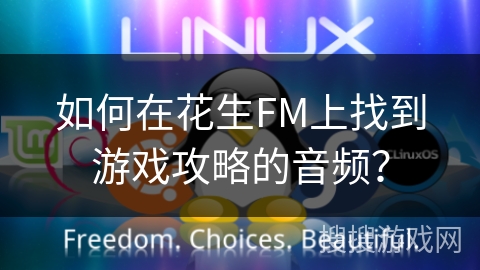 如何在花生FM上找到游戏攻略的音频？