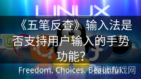 《五笔反查》输入法是否支持用户输入的手势功能？