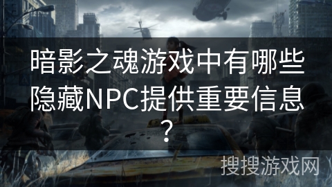 暗影之魂游戏中有哪些隐藏NPC提供重要信息？