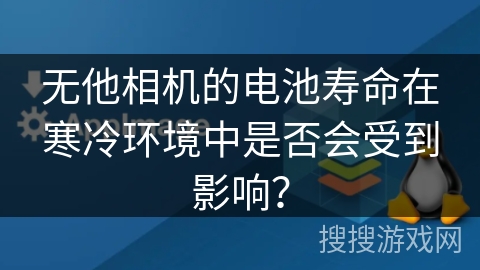 无他相机的电池寿命在寒冷环境中是否会受到影响？