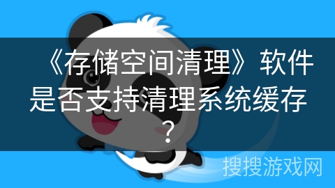 《存储空间清理》软件是否支持清理系统缓存？
