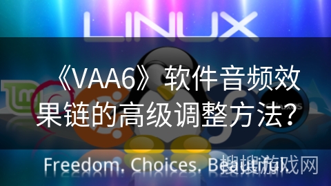 《VAA6》软件音频效果链的高级调整方法？