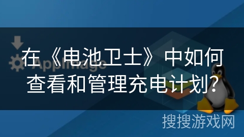 在《电池卫士》中如何查看和管理充电计划？