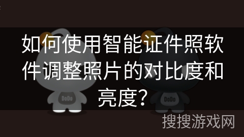 如何使用智能证件照软件调整照片的对比度和亮度？