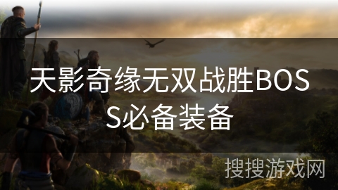 天影奇缘无双战胜BOSS必备装备