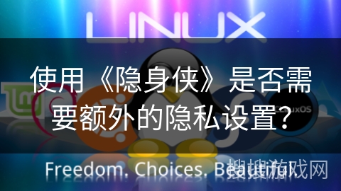使用《隐身侠》是否需要额外的隐私设置？