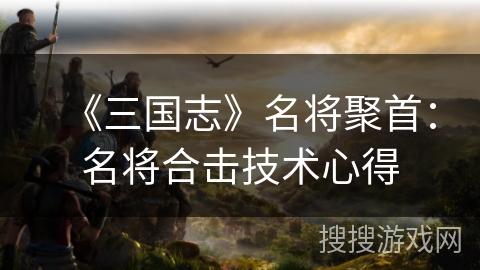 《三国志》名将聚首:名将合击技术心得 《三国志》名将聚首:名将合击技术心得