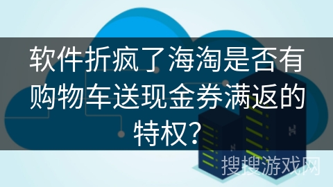 软件折疯了海淘是否有购物车送现金券满返的特权？