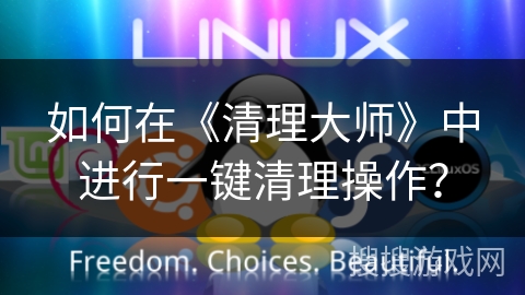 如何在《清理大师》中进行一键清理操作？