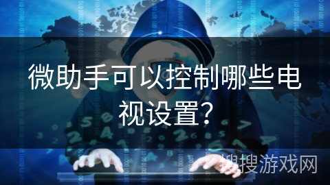 微助手可以控制哪些电视设置？