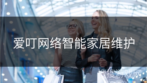 爱叮网络智能家居维护