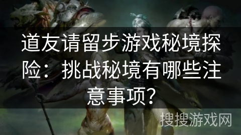 道友请留步游戏秘境探险：挑战秘境有哪些注意事项？