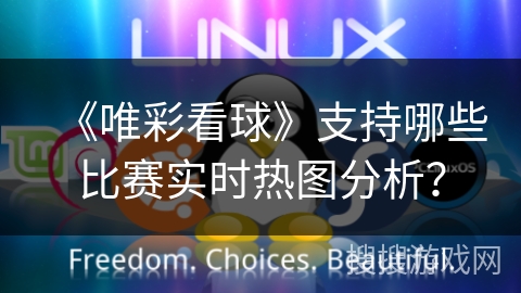 《唯彩看球》支持哪些比赛实时热图分析? 《唯彩看球》支持哪些比赛实时热图分析?