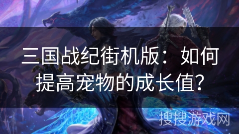 三国战纪街机版：如何提高宠物的成长值？