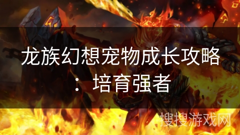 龙族幻想宠物成长攻略：培育强者