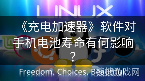 《充电加速器》软件对手机电池寿命有何影响？