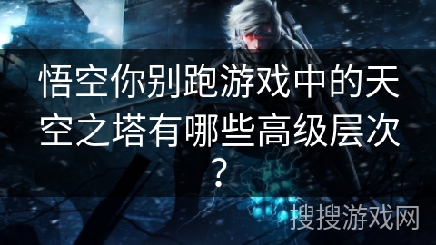 悟空你别跑游戏中的天空之塔有哪些高级层次？