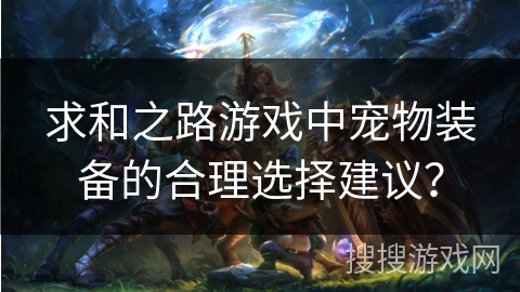 求和之路游戏中宠物装备的合理选择建议？