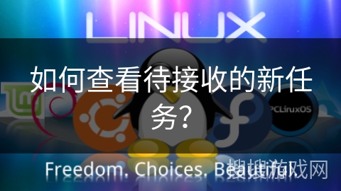 如何查看待接收的新任务？