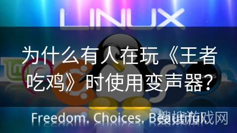 为什么有人在玩《王者吃鸡》时使用变声器? 为什么有人在玩《王者吃鸡》时使用变声器?