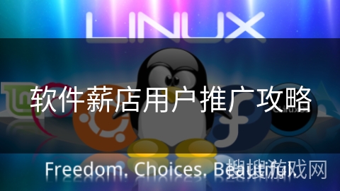 软件薪店用户推广攻略