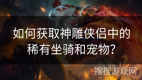 如何获取神雕侠侣中的稀有坐骑和宠物？