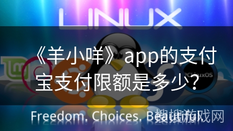 《羊小咩》app的支付宝支付限额是多少？
