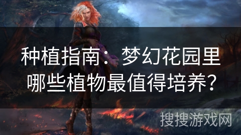 种植指南：梦幻花园里哪些植物最值得培养？