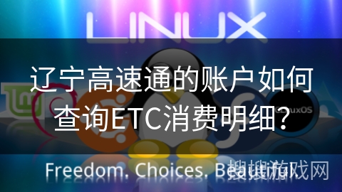 辽宁高速通的账户如何查询ETC消费明细？