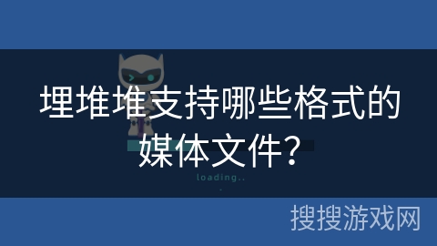 埋堆堆支持哪些格式的媒体文件？