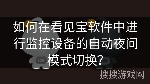 如何在看见宝软件中进行监控设备的自动夜间模式切换？