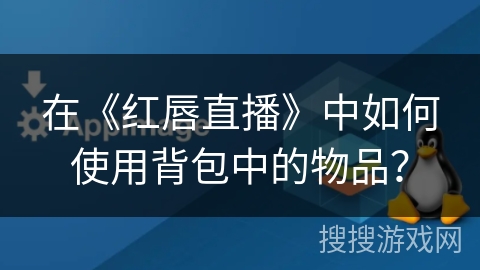 在《红唇直播》中如何使用背包中的物品？