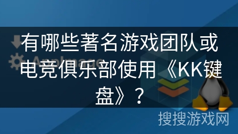 有哪些著名游戏团队或电竞俱乐部使用《KK键盘》？