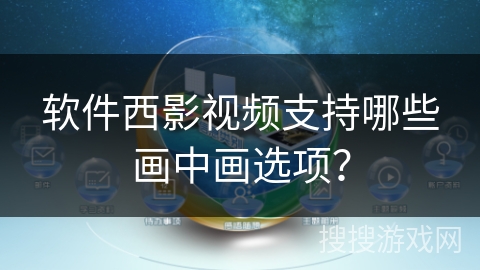 软件西影视频支持哪些画中画选项？