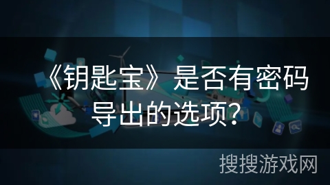 《钥匙宝》是否有密码导出的选项？
