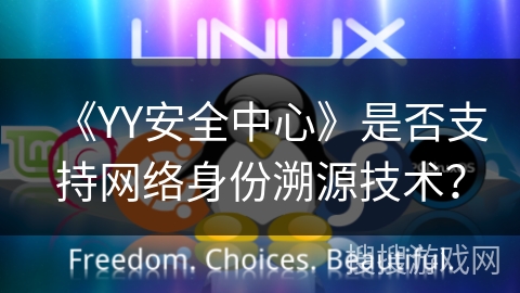 《YY安全中心》是否支持网络身份溯源技术？