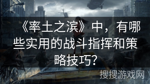 《率土之滨》中，有哪些实用的战斗指挥和策略技巧？