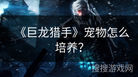 《巨龙猎手》宠物怎么培养？