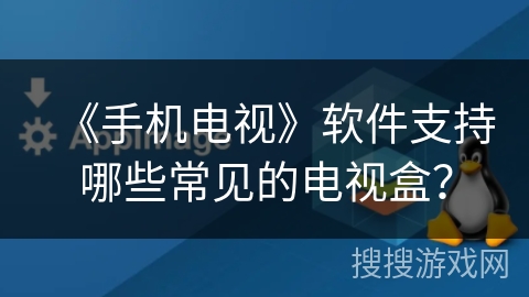《手机电视》软件支持哪些常见的电视盒？