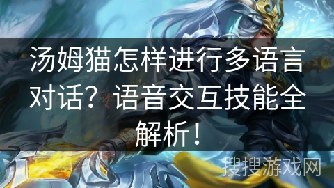 汤姆猫怎样进行多语言对话？语音交互技能全解析！