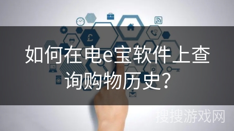 如何在电e宝软件上查询购物历史？