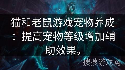 猫和老鼠游戏宠物养成：提高宠物等级增加辅助效果。